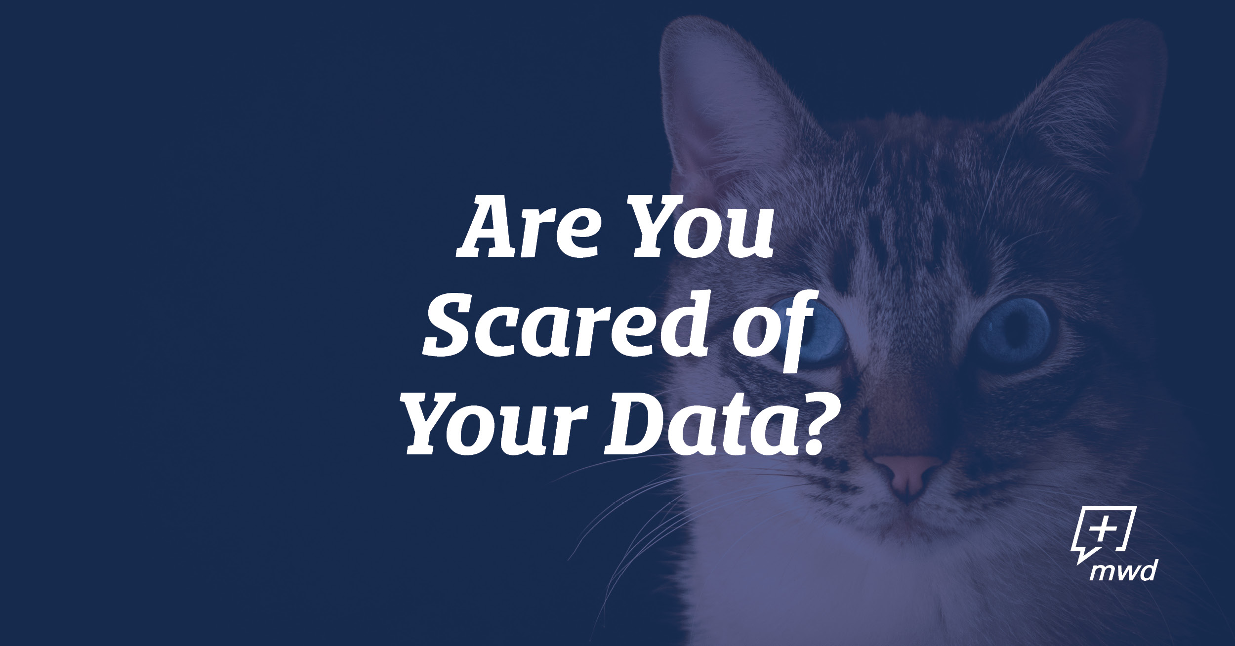 Are You Scared of Your Data?