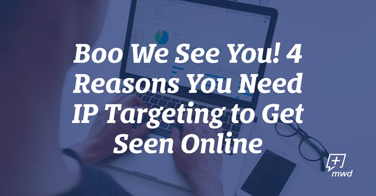 Boo We See You! 4 Reasons You Need IP Targeting to Get Seen Online
